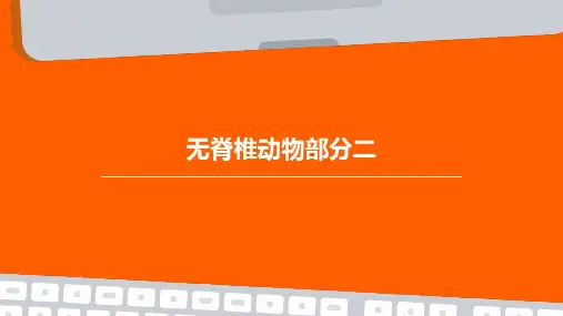 无脊椎动物部分二