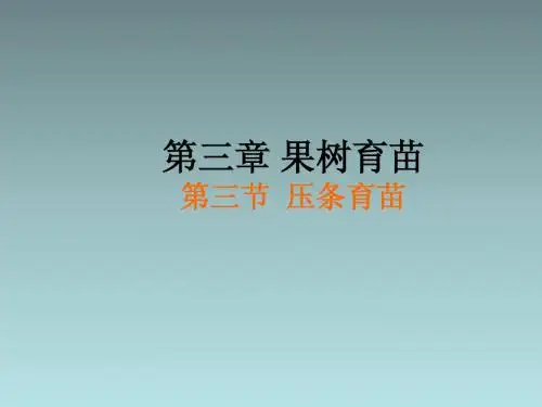 第三章 果树育苗(第三节 压条育苗)