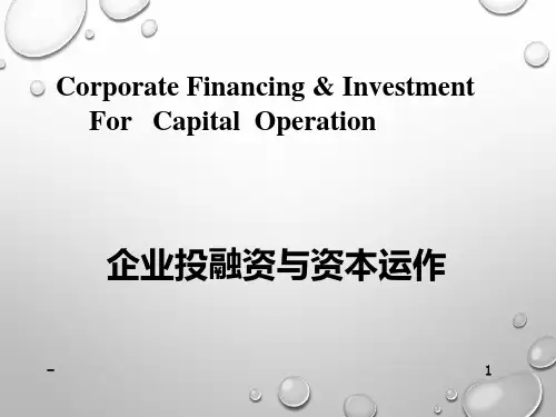企业投融资与资本运作PPT课件