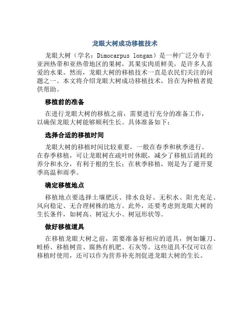 龙眼大树成功移植技术