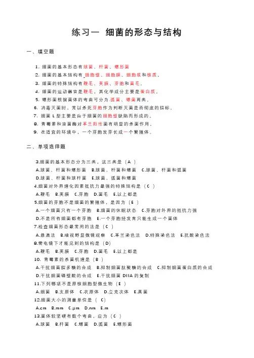 细菌的形态与结构练习一
