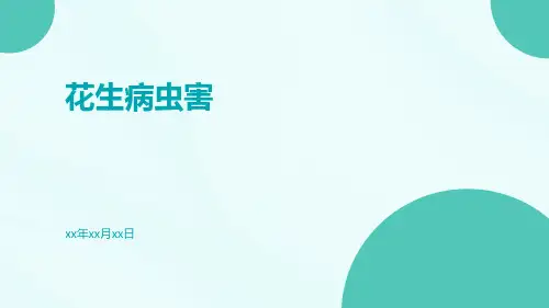 花生病虫害