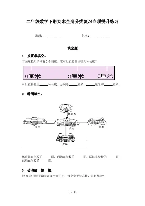 二年级数学下册期末全册分类复习专项提升练习
