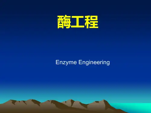 第一章酶工程绪论