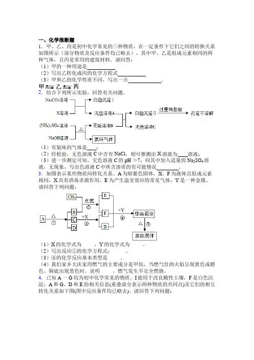 重庆市一中中考化学推断题试卷及答案