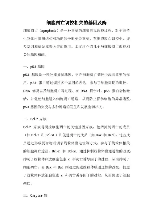 细胞凋亡调控相关的基因及酶