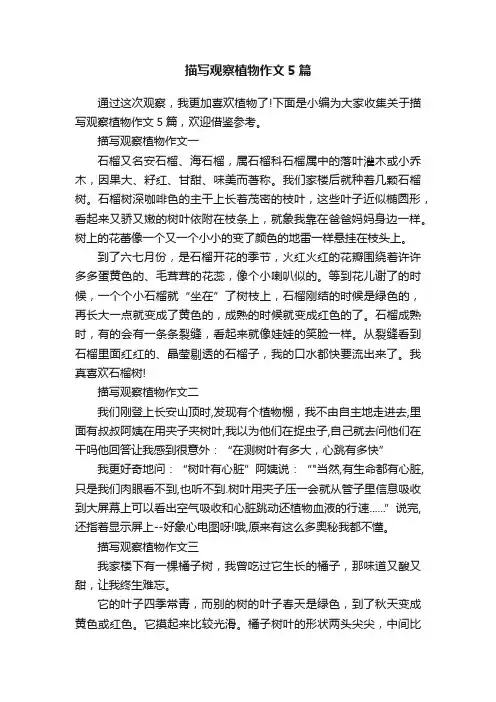 描写观察植物作文5篇