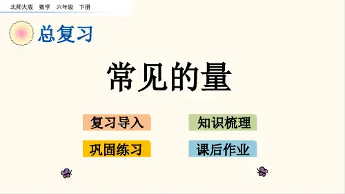 北师大六年级数学下册1.15 常见的量(优质课件)