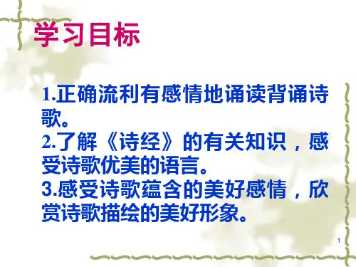 淇奥ppt课件