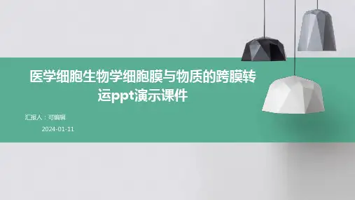 医学细胞生物学细胞膜与物质的跨膜转运ppt演示课件