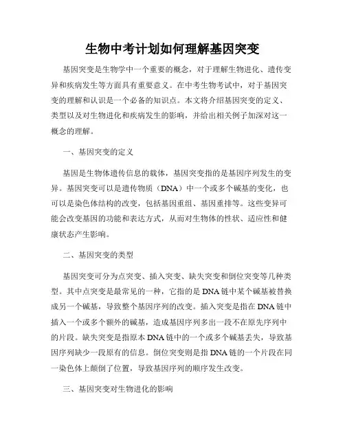 生物中考计划如何理解基因突变