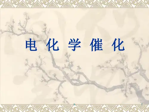 《电化学催化》PPT课件