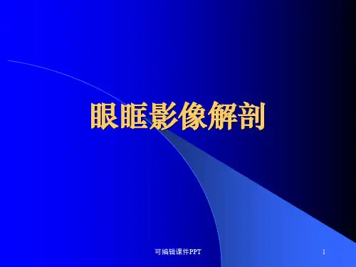 眼眶影像解剖ppt课件