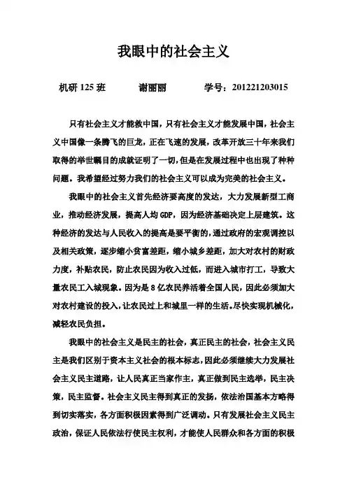 我眼中的社会主义