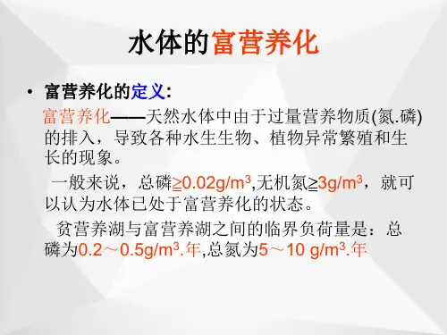 天然水中的富营养化ppt