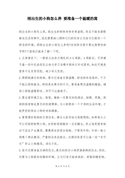 刚出生的小狗怎么养 要准备一个温暖的窝
