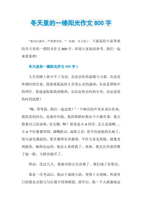 冬天里的一缕阳光作文800字