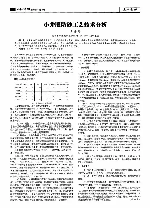 小井眼防砂工艺技术分析