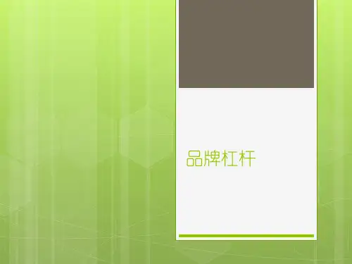 品牌杠杆力文献综述