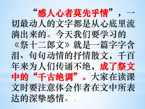 祭十二郎文韩愈综合优秀全面实用ppt课件