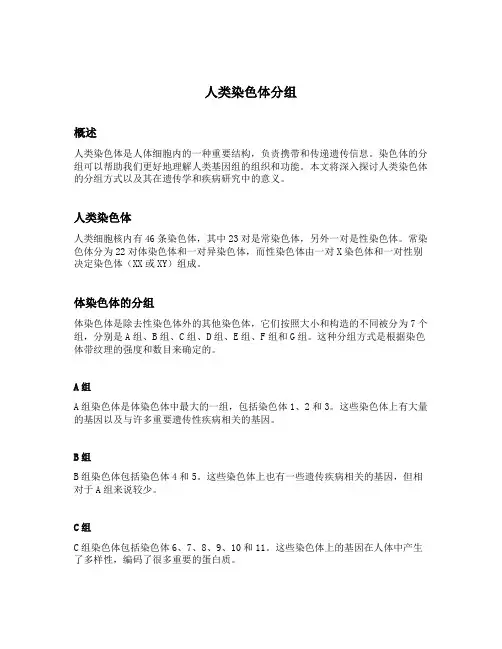 人类染色体分组