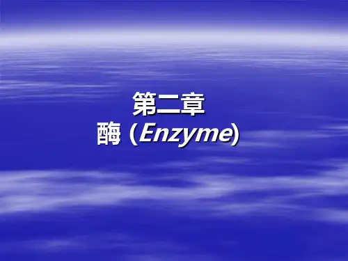生物化学---酶催化作用的特点93页PPT