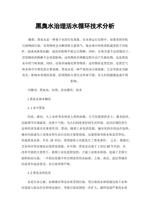 黑臭水治理活水循环技术分析
