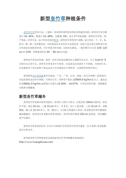 新型皇竹草种植条件