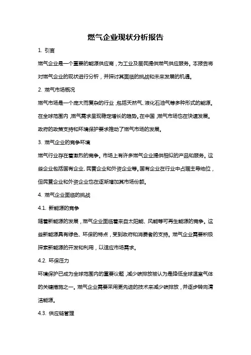 燃气企业现状分析报告