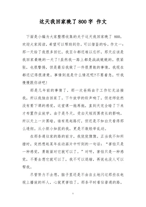 优秀作文：这天我回家晚了800字 作文