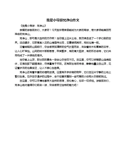 我是小导游梵净山作文