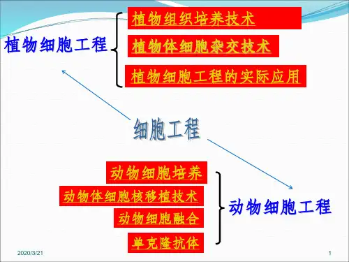 专题二细胞工程思维导图ppt课件