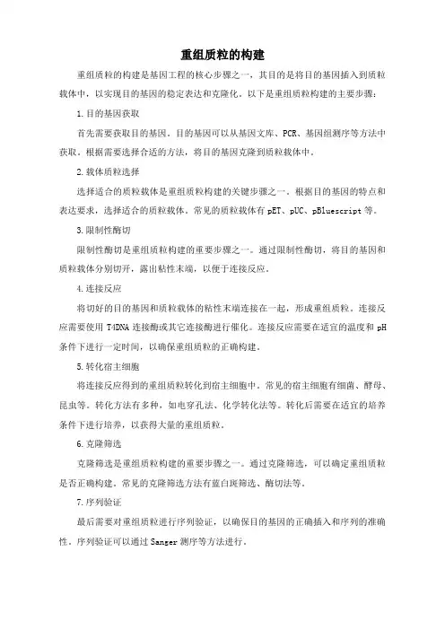 重组质粒的构建