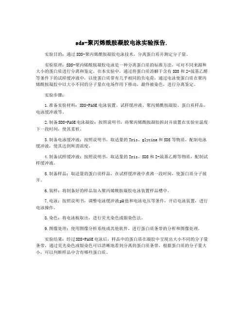 sds-聚丙烯酰胺凝胶电泳实验报告.