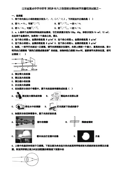 江苏省重点中学市联考2019年八上物理期末模拟教学质量检测试题之一