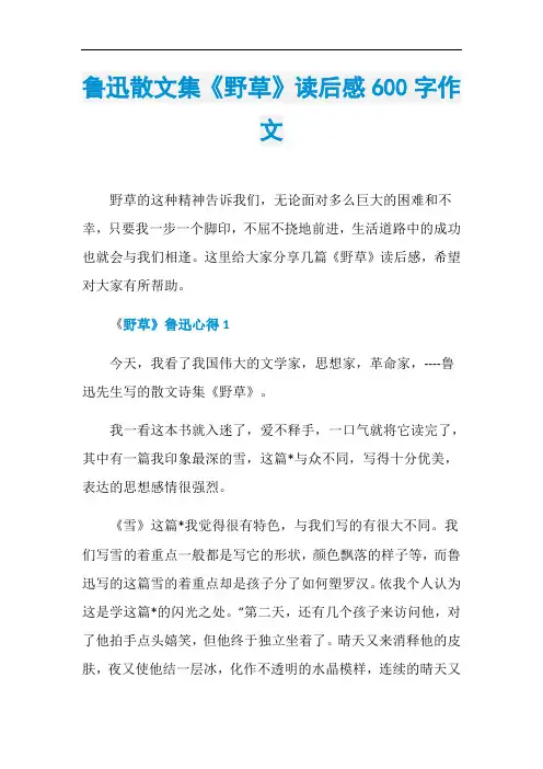 鲁迅散文集《野草》读后感600字作文