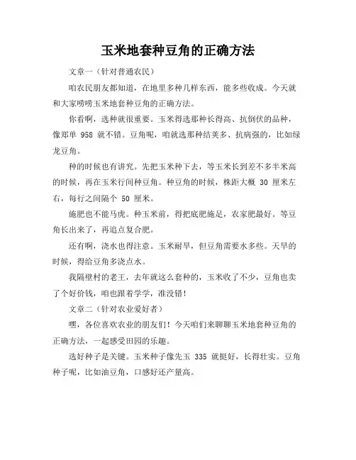 玉米地套种豆角的正确方法