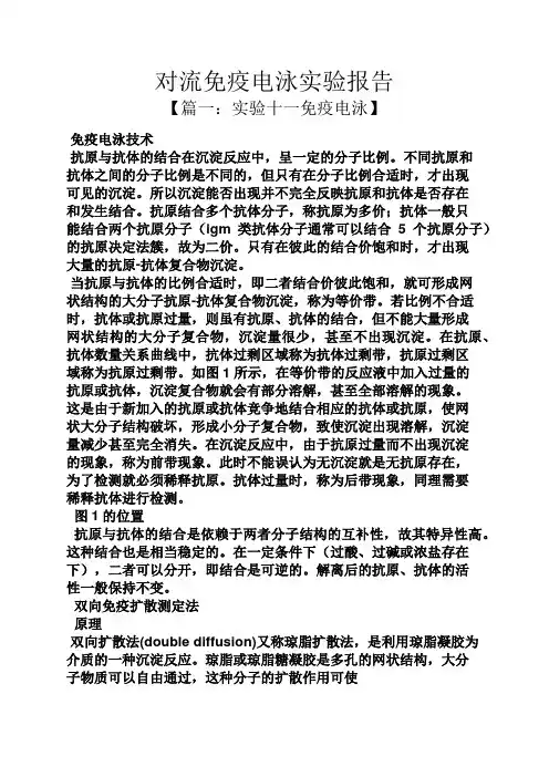 工作报告之对流免疫电泳实验报告