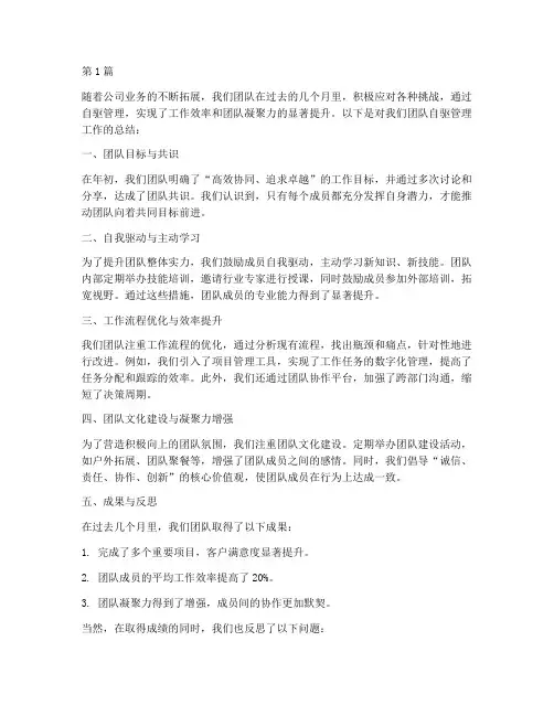 团队自驱管理工作总结范文(3篇)