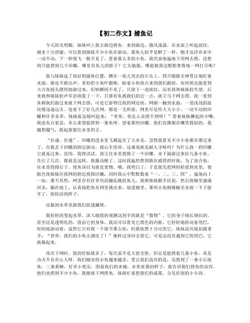 【初二作文】捕鱼记