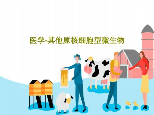 医学-其他原核细胞型微生物PPT文档共48页