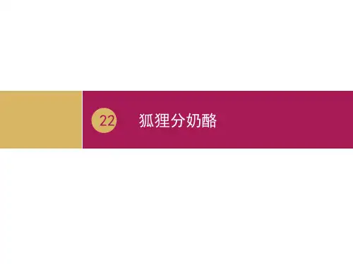 最新二年级上册语文课件-22狐狸分奶酪｜人教(部编版) (共10张PPT)