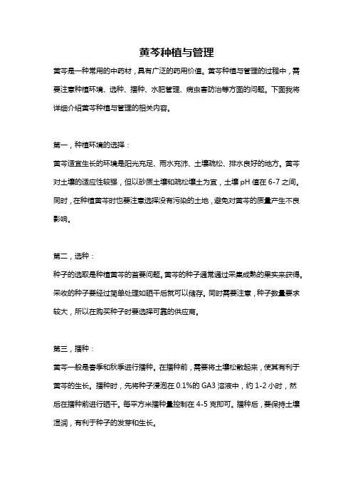 黄芩种植与管理