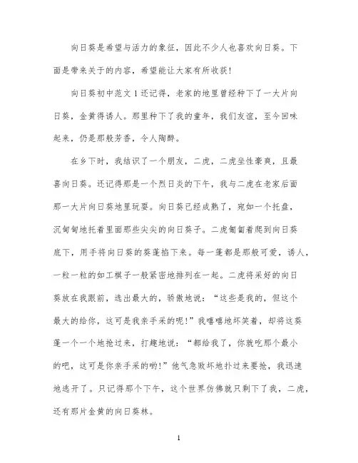 向日葵初中作文素材范文