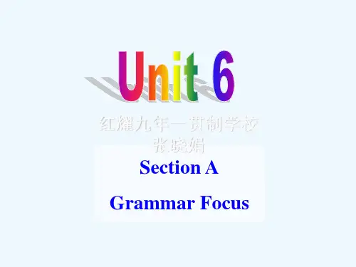 英语人教版九年级全册unit 6 Grammar Focus