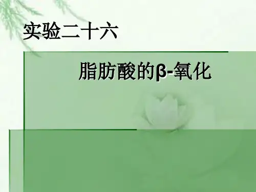 脂肪酸的β-氧化