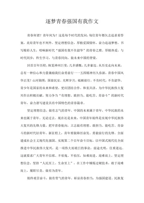 逐梦青春 强国有我 作文