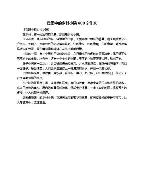我眼中的乡村小院400字作文