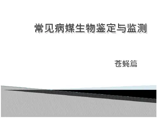 病媒生物防制苍蝇分析报告