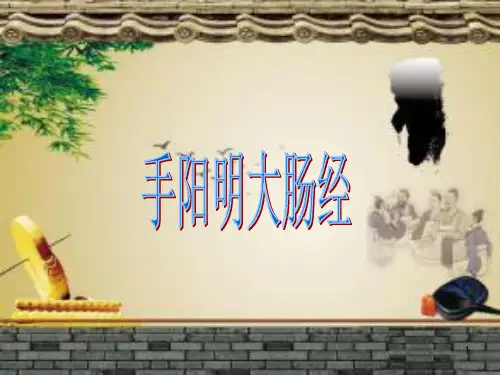 经脉手阳明大肠经PPT幻灯片
